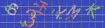 確認代碼