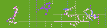 確認代碼