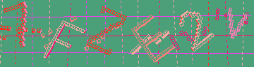 確認代碼