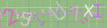 確認代碼