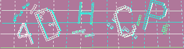 確認代碼