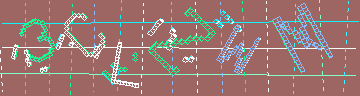 確認代碼
