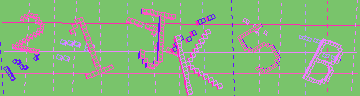 確認代碼