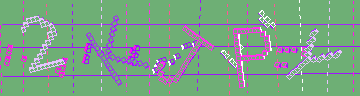確認代碼