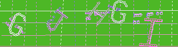 確認代碼