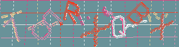 確認代碼