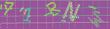 確認代碼