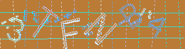 確認代碼