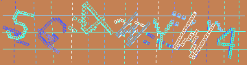 確認代碼