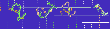 確認代碼
