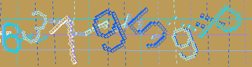 確認代碼