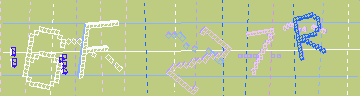 確認代碼