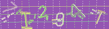 確認代碼
