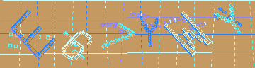確認代碼