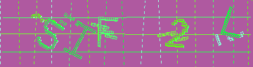 確認代碼