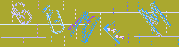 確認代碼
