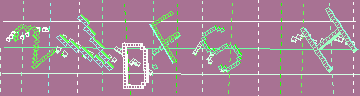 確認代碼