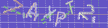 確認代碼