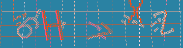 確認代碼