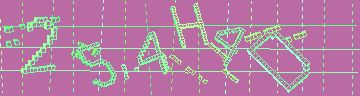 確認代碼