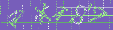 確認代碼