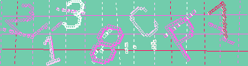 確認代碼