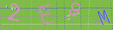 確認代碼