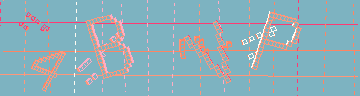 確認代碼
