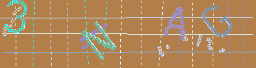 確認代碼