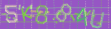 確認代碼