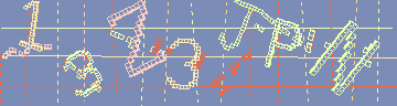 確認代碼