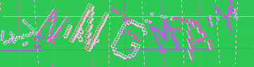 確認代碼