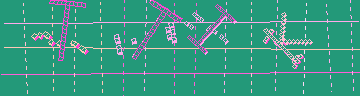 確認代碼