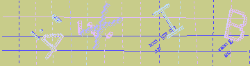確認代碼