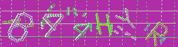 確認代碼