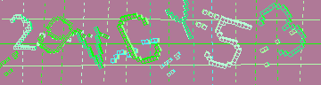 確認代碼