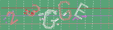 確認代碼