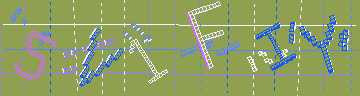 確認代碼