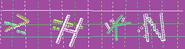確認代碼