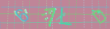 確認代碼