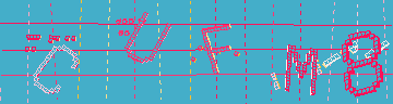 確認代碼