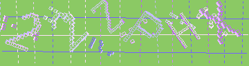 確認代碼