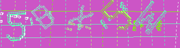 確認代碼