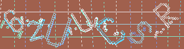 確認代碼
