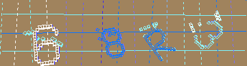 確認代碼