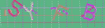 確認代碼