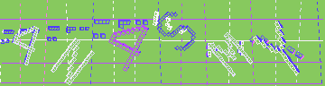 確認代碼