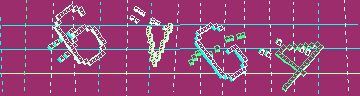 確認代碼