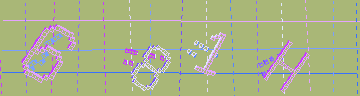 確認代碼