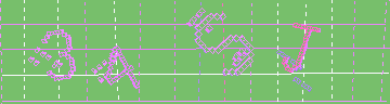 確認代碼